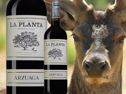 La Planta Reserva 2019 – ett superprisat rödvin från Ribera del Duero.